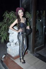 at the Mall completion bash in Bandra, Mumbai on 23rd Dec 2013 (7)_52b935e1954fc.JPG