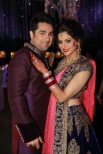 Aamna Sharif and Amit Kapoor Wedding Pictures (4)_52c1475873dad.jpg