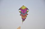 at I Ajmera kite festival in Wadala, Mumbai on 13th Jan 2014 (27)_52d4a7e59bf33.JPG