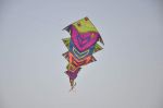 at I Ajmera kite festival in Wadala, Mumbai on 13th Jan 2014 (28)_52d4a7e5e6734.JPG