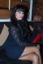at Strings of Passion film  music launch in Sheesha Sky Lounge on 13th Jan 2014 (61)_52d4a86de2062.JPG