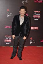 Bhushan Kumar at 20th Annual Life OK Screen Awards in Mumbai on 14th Jan 2014(733)_52d683d9b4538.JPG