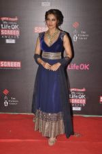 Bipasha Basu at 20th Annual Life OK Screen Awards in Mumbai on 14th Jan 2014(350)_52d683e465f6f.JPG
