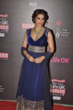 Bipasha Basu at 20th Annual Life OK Screen Awards in Mumbai on 14th Jan 2014(353)_52d683e592731.JPG