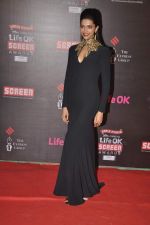 Deepika Padukone at 20th Annual Life OK Screen Awards in Mumbai on 14th Jan 2014(670)_52d684495b7a9.JPG