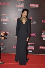 Deepika Padukone at 20th Annual Life OK Screen Awards in Mumbai on 14th Jan 2014(676)_52d6844b21d45.JPG