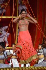 Deepika Padukone at 20th Annual Life OK Screen Awards in Mumbai on 14th Jan 2014(742)_52d6845084c12.JPG
