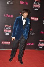 Ranveer Singh at 20th Annual Life OK Screen Awards in Mumbai on 14th Jan 2014(760)_52d6848aa20d4.JPG