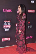 Richa Chadda at 20th Annual Life OK Screen Awards in Mumbai on 14th Jan 2014 (95)_52d68933855cf.JPG
