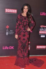 Richa Chadda at 20th Annual Life OK Screen Awards in Mumbai on 14th Jan 2014 (97)_52d689345a05c.JPG