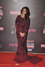 Richa Chadda at 20th Annual Life OK Screen Awards in Mumbai on 14th Jan 2014(425)_52d68934c7ec6.JPG
