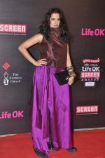 Sona Mohapatra at 20th Annual Life OK Screen Awards in Mumbai on 14th Jan 2014 (307)_52d689e01f9f6.JPG