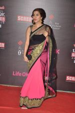 Sophie Chaudhary at 20th Annual Life OK Screen Awards in Mumbai on 14th Jan 2014(376)_52d68a5529a3a.JPG