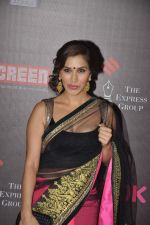Sophie Chaudhary at 20th Annual Life OK Screen Awards in Mumbai on 14th Jan 2014(379)_52d68a566e334.JPG