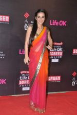 Tara Sharma at 20th Annual Life OK Screen Awards in Mumbai on 14th Jan 2014 (289)_52d68ab138c4e.JPG