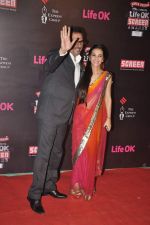 Tara Sharma at 20th Annual Life OK Screen Awards in Mumbai on 14th Jan 2014(702)_52d68ab18e52d.JPG