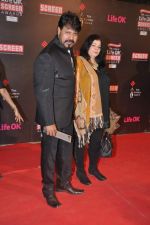 at 20th Annual Life OK Screen Awards in Mumbai on 14th Jan 2014 (115)_52d6836820e65.JPG