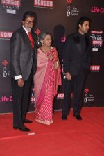 at 20th Annual Life OK Screen Awards in Mumbai on 14th Jan 2014 (176)_52d6836ca1420.JPG
