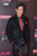at 20th Annual Life OK Screen Awards in Mumbai on 14th Jan 2014 (240)_52d6837b76727.JPG