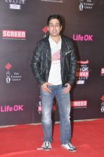 at 20th Annual Life OK Screen Awards in Mumbai on 14th Jan 2014 (267)_52d683813b10a.JPG