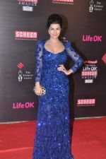 at 20th Annual Life OK Screen Awards in Mumbai on 14th Jan 2014 (316)_52d683889b303.JPG