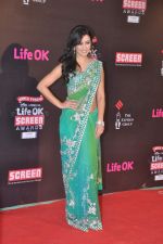 at 20th Annual Life OK Screen Awards in Mumbai on 14th Jan 2014 (95)_52d683658ed9d.JPG