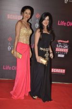 at 20th Annual Life OK Screen Awards in Mumbai on 14th Jan 2014(353)_52d6838cc1e03.JPG