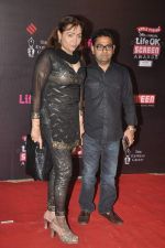 at 20th Annual Life OK Screen Awards in Mumbai on 14th Jan 2014(459)_52d68390082e5.JPG