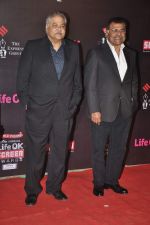 at 20th Annual Life OK Screen Awards in Mumbai on 14th Jan 2014(607)_52d683a46f575.JPG
