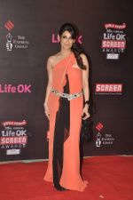 at 20th Annual Life OK Screen Awards in Mumbai on 14th Jan 2014(625)_52d683aa5479f.JPG