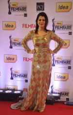 Kainaat Arora walked the Red Carpet at the 59th Idea Filmfare Awards 2013 at Yash Raj_52e3996cdb469.jpg