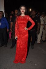 Sasha Agha at Filmfare Awards Red Carpet 2014 on 24th Jan 2014 (49)_52e39fa0a28a5.JPG