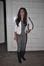 Preeti Desai at the screening of One by Two in Sunny Super Sound, Mumbai on 29th Jan 2014 (115)_52e9fcf8aa64b.JPG