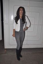 Preeti Desai at the screening of One by Two in Sunny Super Sound, Mumbai on 29th Jan 2014 (116)_52e9fcf92cffe.JPG