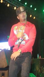 Yo Yo Honey Singh at Alegria 2014 in Mumbai on 31st Jan 2014 (7)_52ecd5597be4e.JPG