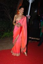 Deepika Padukone at Ahana Deol_s Wedding Reception in Mumbai on 2nd Feb 2014(290)_52efa0e7389fd.JPG
