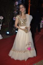 Farah Khan at Ahana Deol_s Wedding Reception in Mumbai on 2nd Feb 2014 (5)_52efa13d6519a.JPG