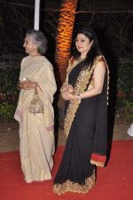 Kiran Juneja at Ahana Deol_s Wedding Reception in Mumbai on 2nd Feb 2014 (97)_52efa23b59787.JPG