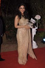 Zoa Morani at Ahana Deol_s Wedding Reception in Mumbai on 2nd Feb 2014 (60)_52efa4015b20f.JPG