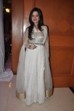 Amy Billimoria at Siddharth Kannan_s wedding reception with Neha in Mumbai on 4th Feb 2014 (142)_52f202d976ec2.JPG