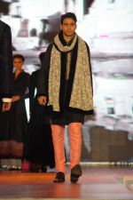 at Manish malhotra show for save n empower the girl child cause by lilavati hospital in Mumbai on 5th Feb 2014(143)_52f3c2cf5b17a.JPG