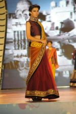 at Manish malhotra show for save n empower the girl child cause by lilavati hospital in Mumbai on 5th Feb 2014(176)_52f3c2d86a374.JPG
