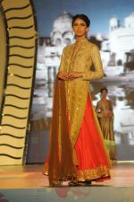 at Manish malhotra show for save n empower the girl child cause by lilavati hospital in Mumbai on 5th Feb 2014(207)_52f3c2e261bbc.JPG