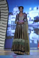 at Manish malhotra show for save n empower the girl child cause by lilavati hospital in Mumbai on 5th Feb 2014(211)_52f3c2e325095.JPG