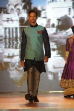 at Manish malhotra show for save n empower the girl child cause by lilavati hospital in Mumbai on 5th Feb 2014(252)_52f3c2f0980e4.JPG