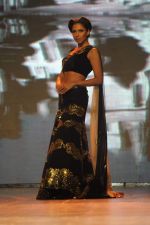at Manish malhotra show for save n empower the girl child cause by lilavati hospital in Mumbai on 5th Feb 2014(278)_52f3c2fc8fd15.JPG