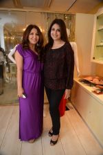 at the launch of 2DIVINE-The Lifestyle Temple by Dimple Nahar, hosted a collection preview for Spring Summer 2014 in plush and stylish Walkeshwar store on 7th Feb 2014 (177)_52f59d35aecfa.JPG