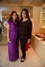 at the launch of 2DIVINE-The Lifestyle Temple by Dimple Nahar, hosted a collection preview for Spring Summer 2014 in plush and stylish Walkeshwar store on 7th Feb 2014 (178)_52f59d3617717.JPG