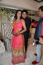 Brinda Parekh and Ajay_s Wedding in Sakinaka, Mumbai on 8th Feb 2014 (125)_52f778161e14a.JPG