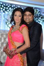 Brinda Parekh and Ajay_s Wedding in Sakinaka, Mumbai on 8th Feb 2014 (126)_52f77816a5f12.JPG